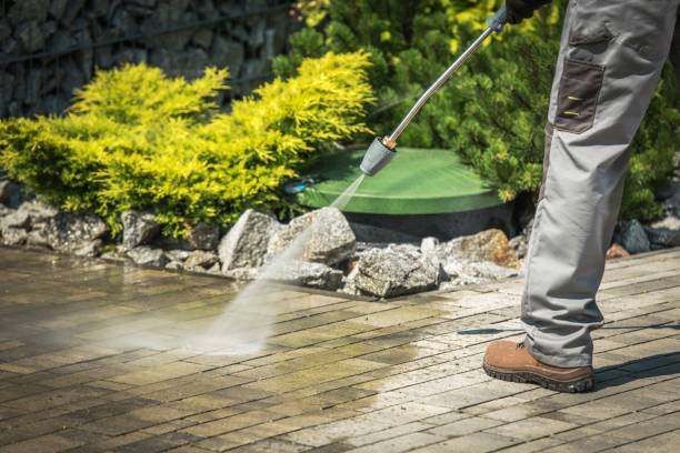 Best Dumpster Area Cleaning  in Ayden, NC