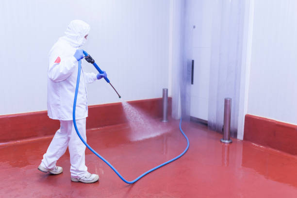 Best Building Exterior Washing  in Ayden, NC