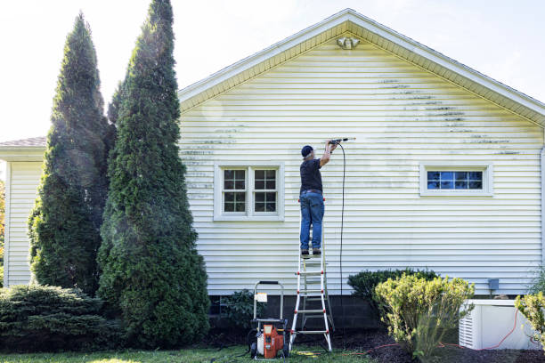 Pre-Holiday Cleaning in Ayden, NC